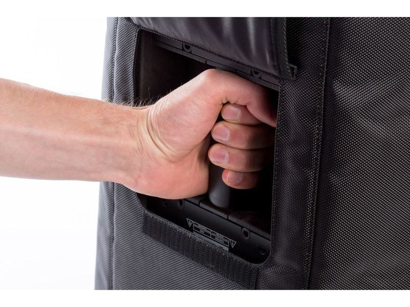 Bose Travel Bag for F1 Model 812