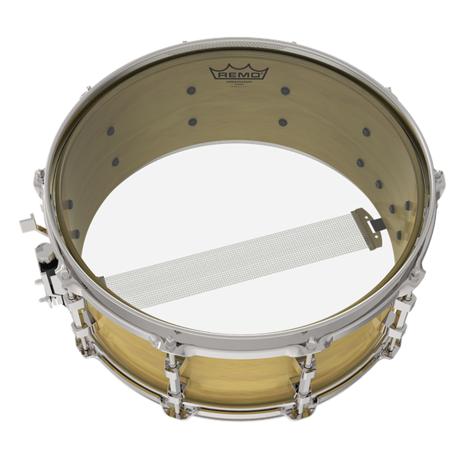 Remo Ambassador® Clear, 10