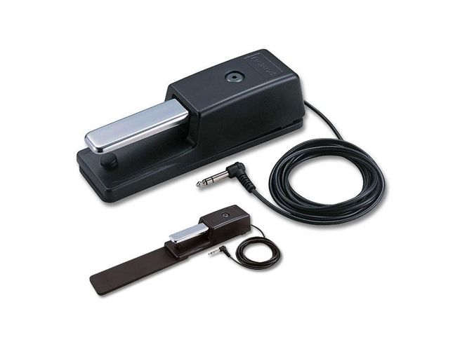 Hovedbilde Roland DP-10 Sustain Pedal