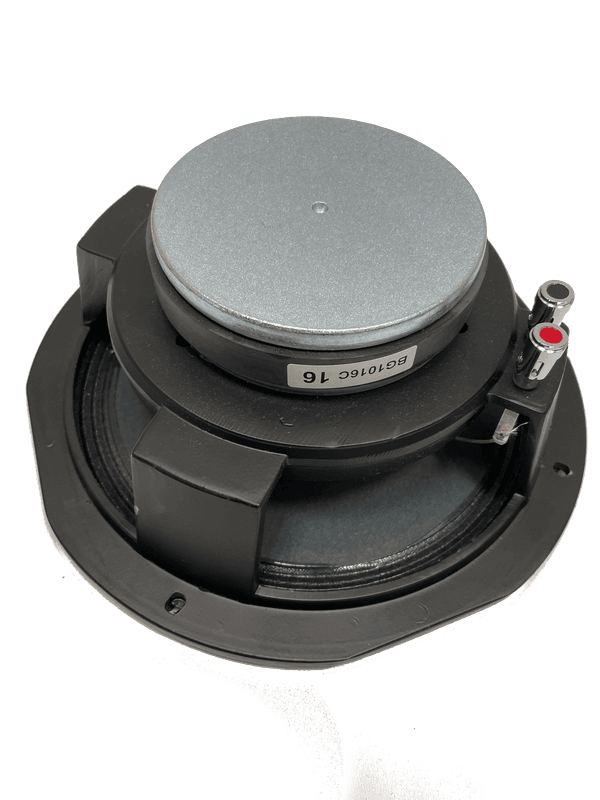SWR Goliath III replacement speaker, 10
