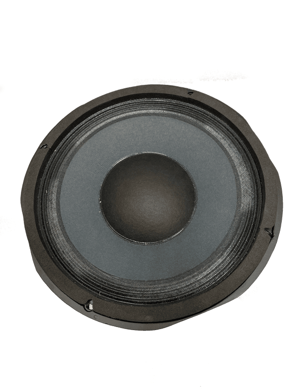 SWR Goliath III replacement speaker, 10