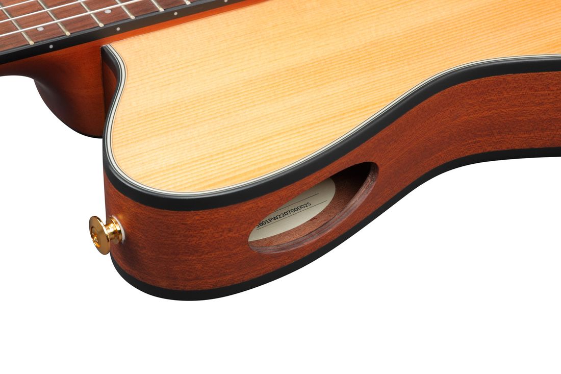 Ibanez FRH10N-NTF Natural Flat, nylonstrengsgitar med elektronikk