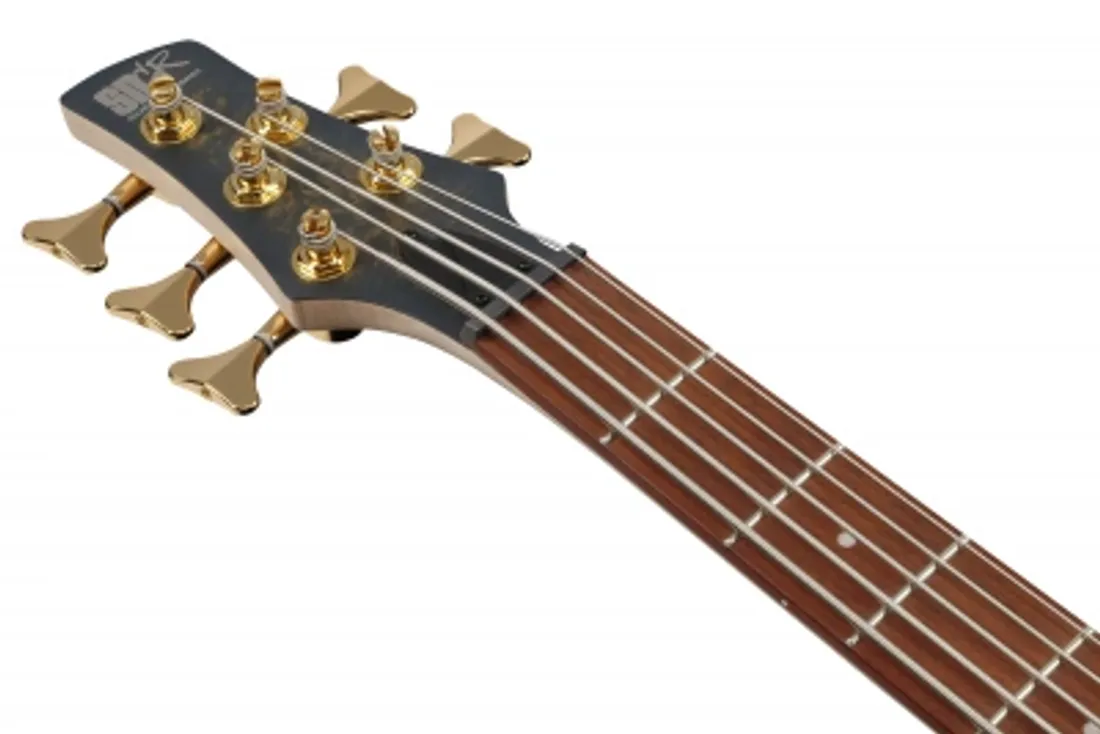 Ibanez SR305EDX-FDM (Frozen Matte) 5-str.
