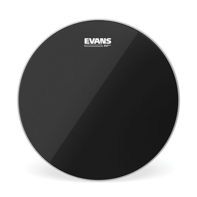 Hovedbilde Evans TT10RBG Reso Black, 10