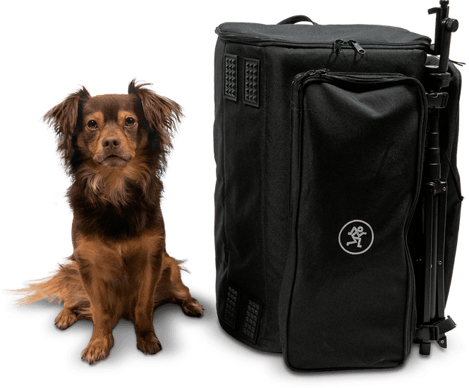 Hovedbilde Mackie ShowBox Bag