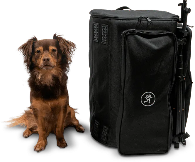 Hovedbilde Mackie ShowBox Bag